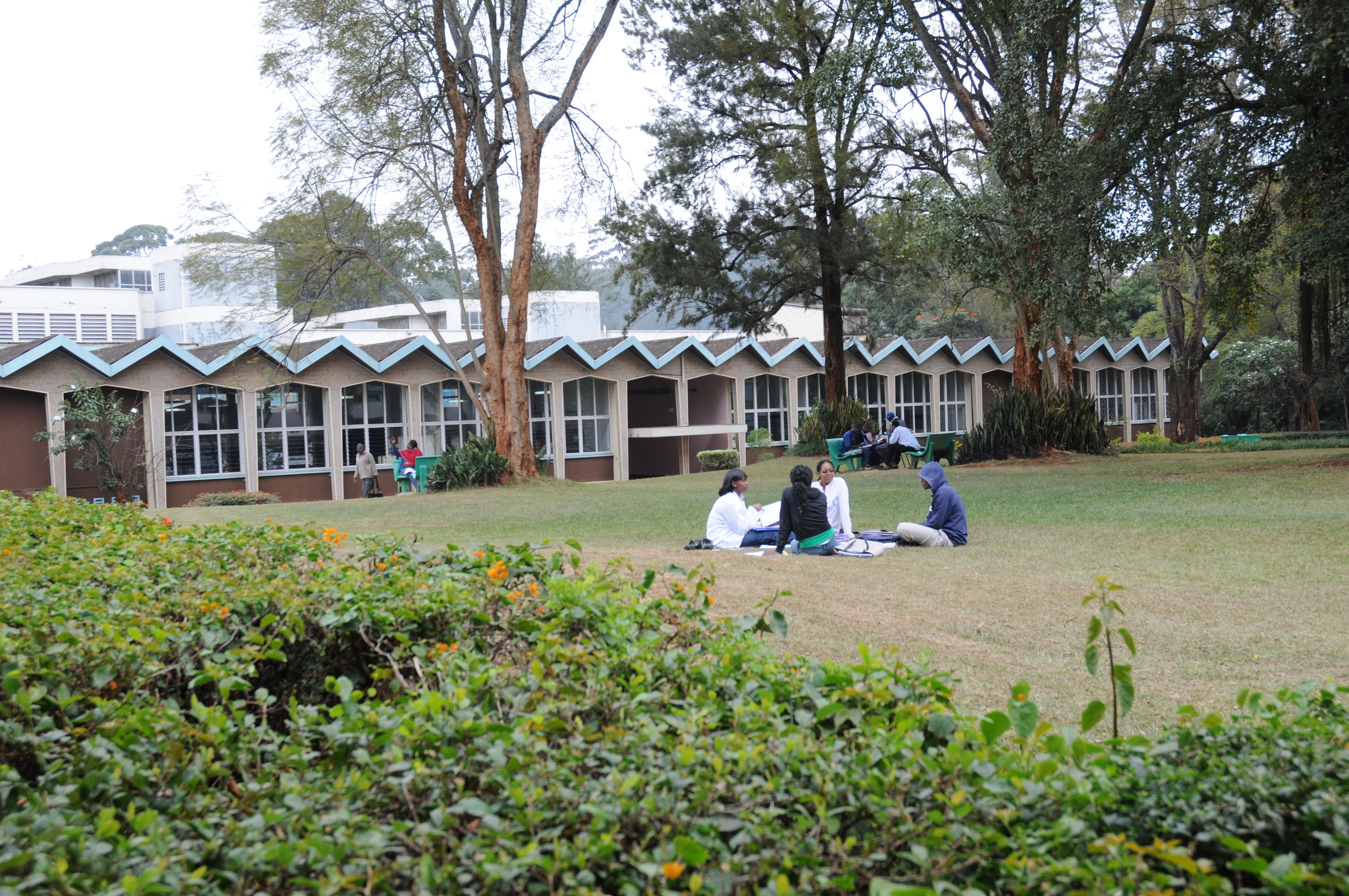 The Faculty of Science & Technology chiromo campus